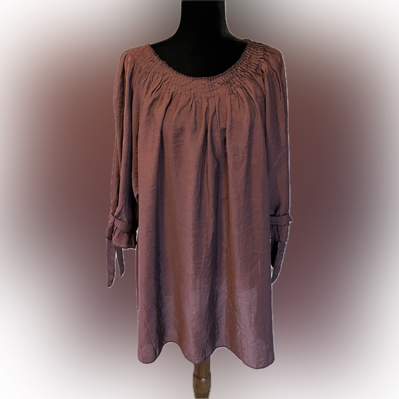 Paisley Vine Tops - Paisley Vine Swing Tunic Cinnamon size 1X